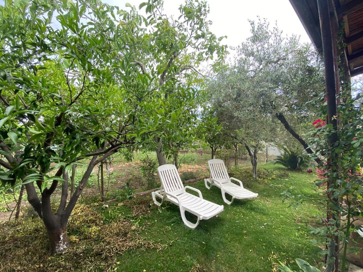 House Edda Serena - Salerno